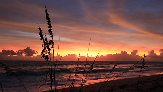 KSC Ocean View